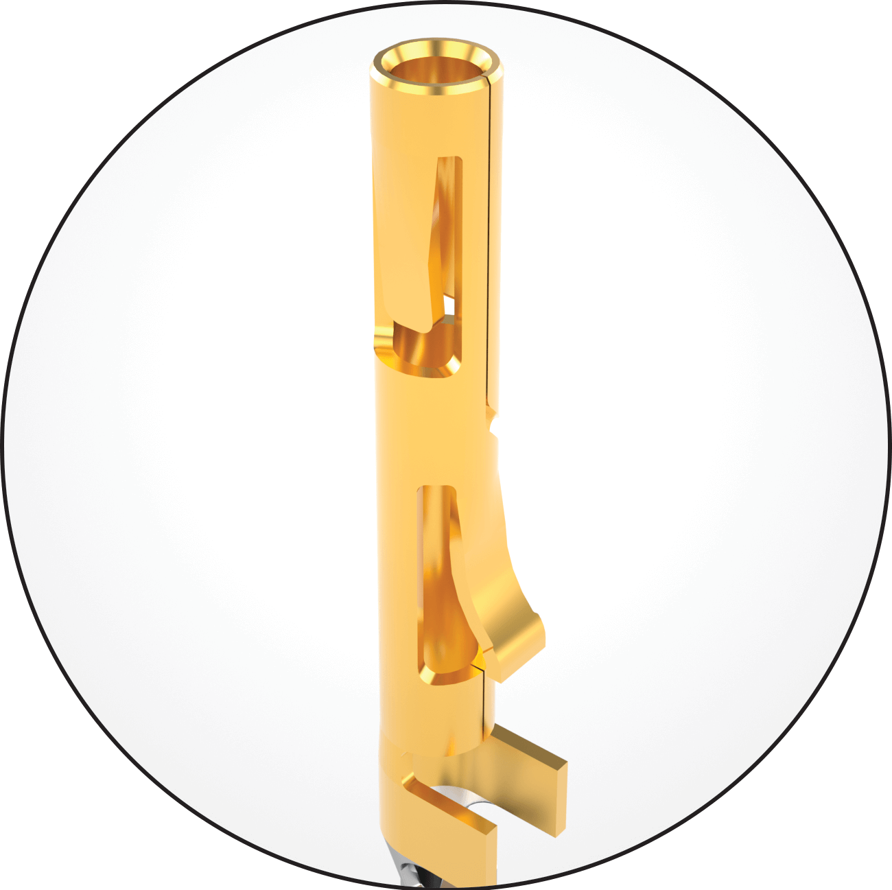 Tiger Eye Contact Detail